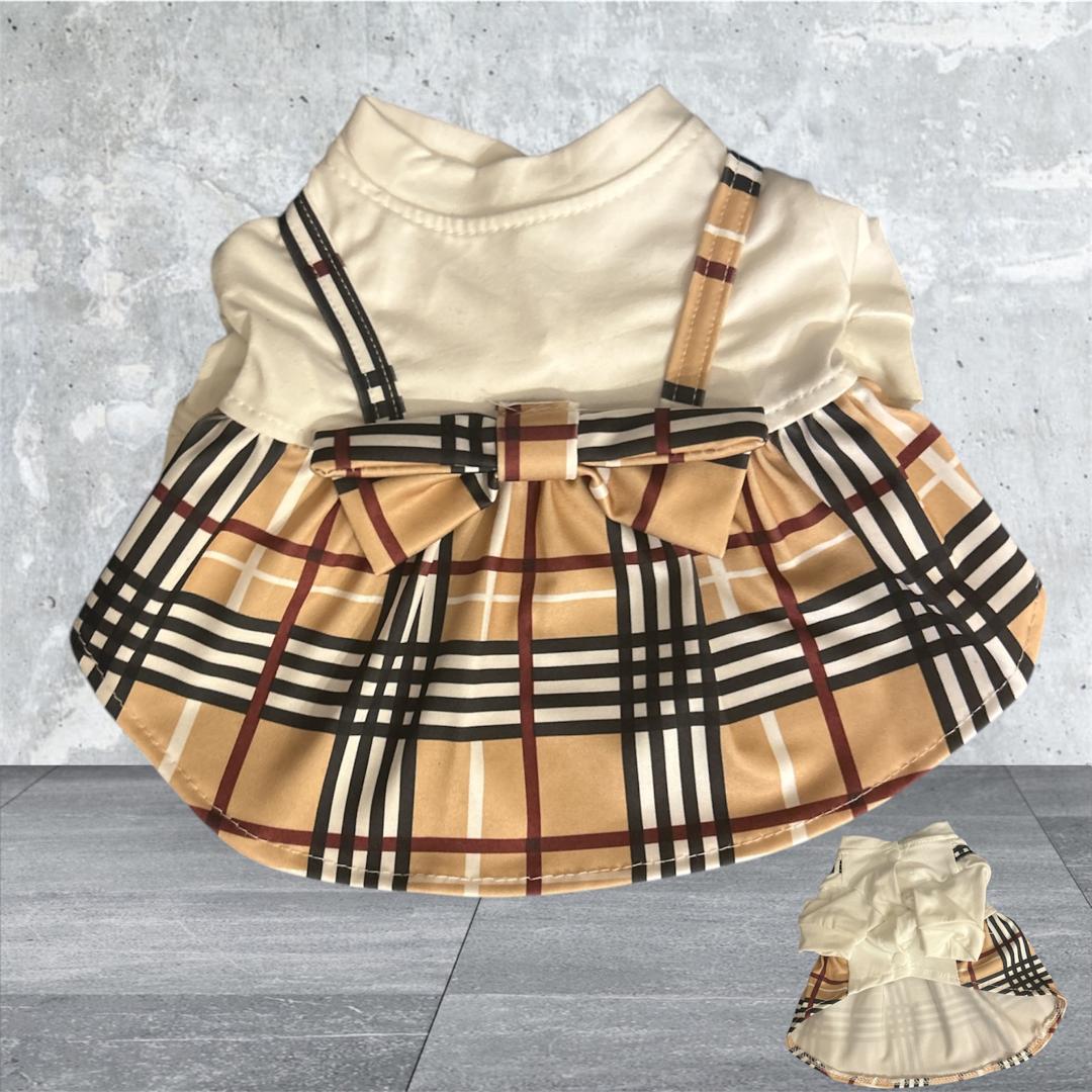 beautiful luxurious dress